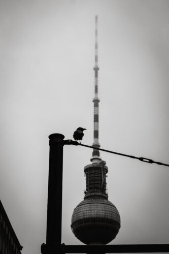 Berlin_bw-5