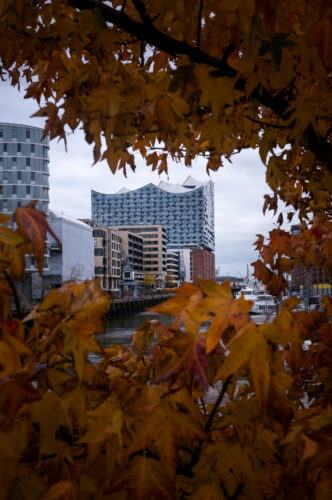 MoinMoin-15