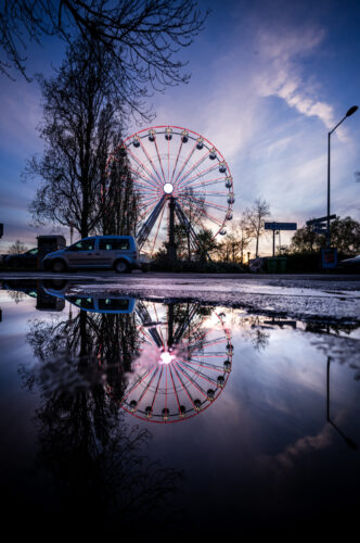 Reflections-7